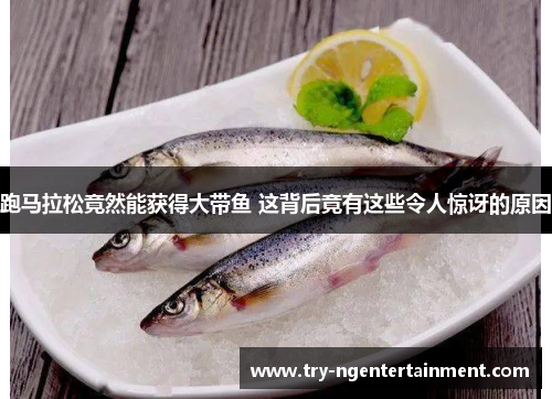跑马拉松竟然能获得大带鱼 这背后竟有这些令人惊讶的原因